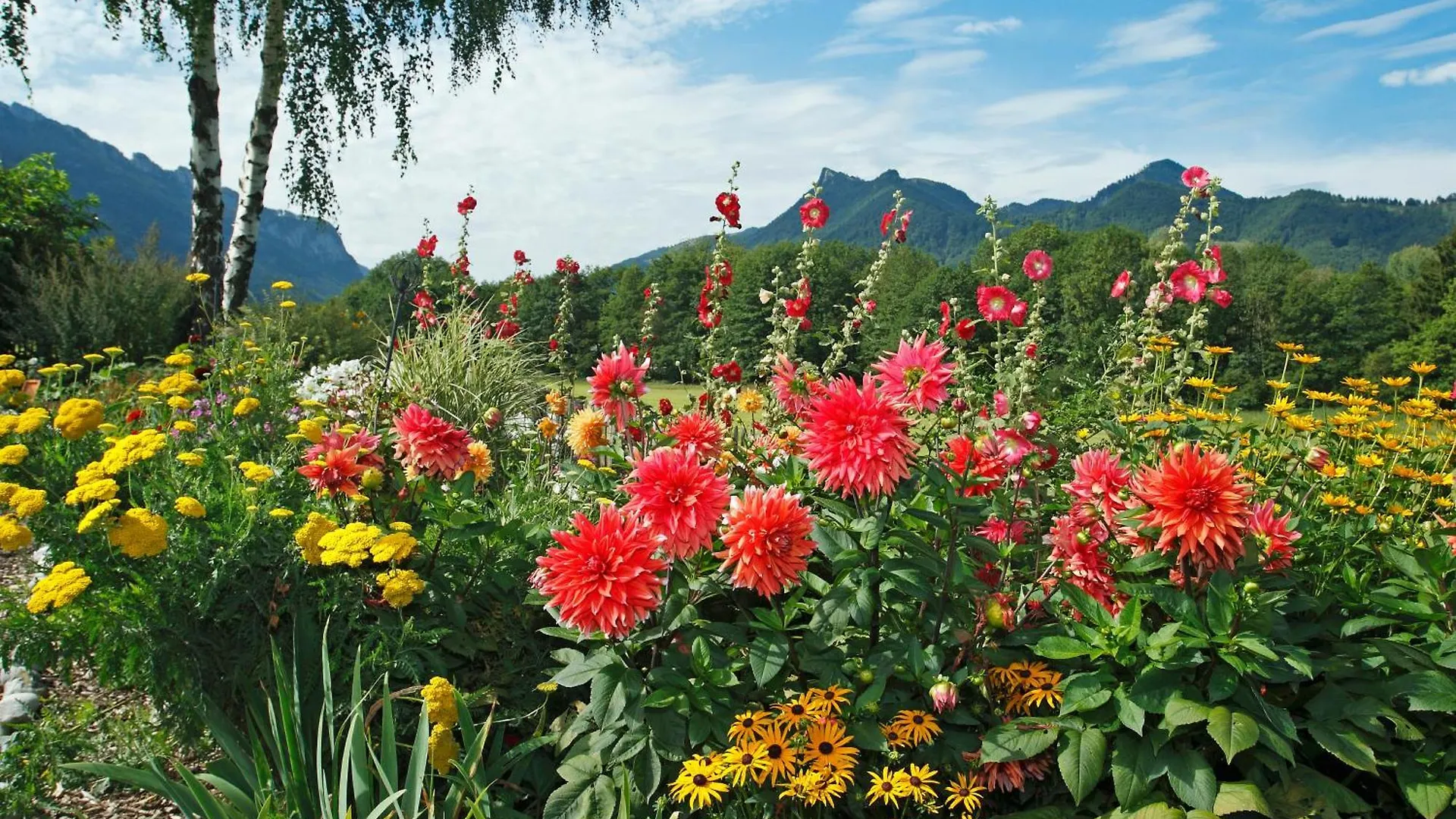 Ferienwohnungen Bergluft Chiemgau Aschau im Chiemgau Apartment